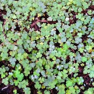 Meet your Posher, Theresa